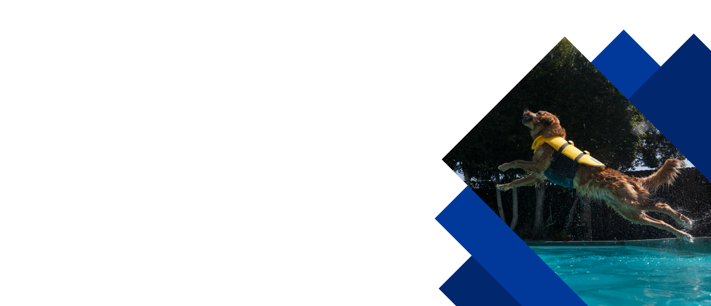 Type a description of this image