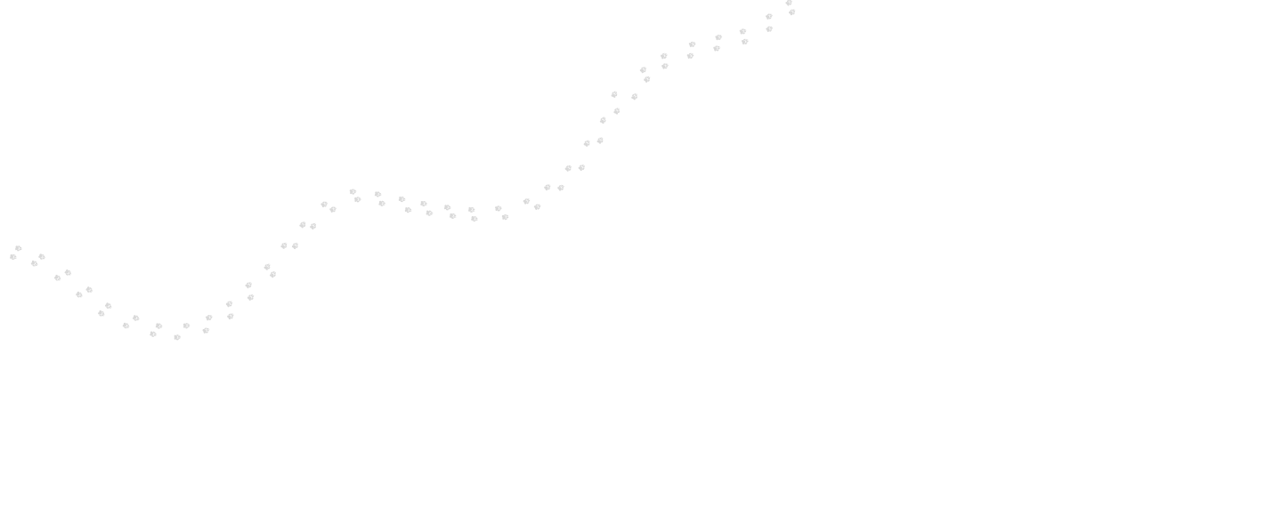 Type a description of this image