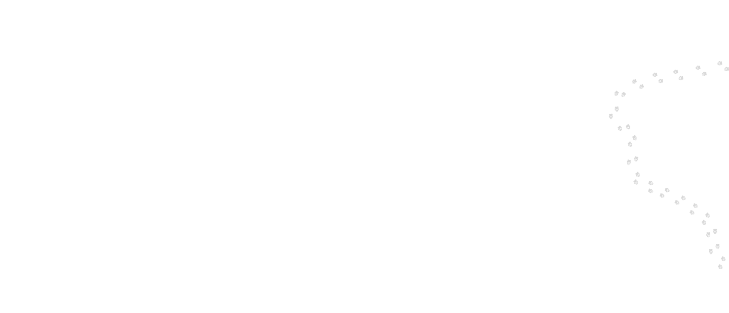 Type a description of this image