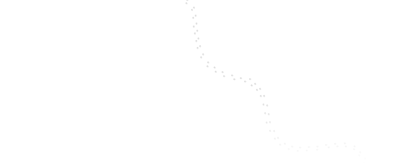 Type a description of this image