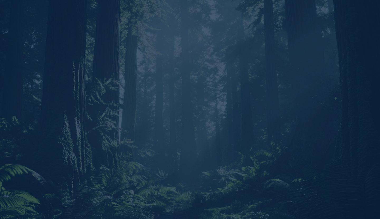 founder animated feature on dark background