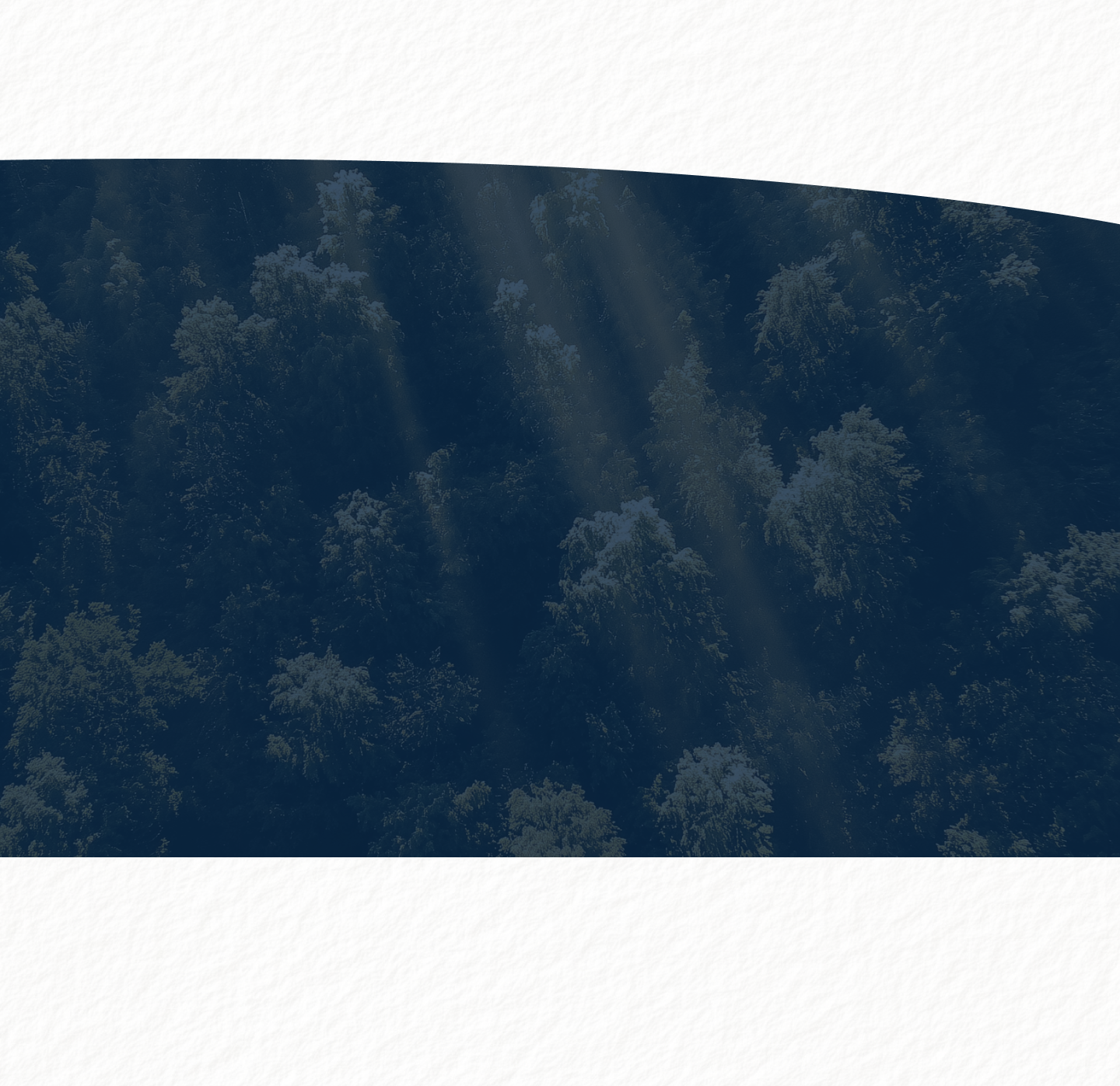 dark trees design