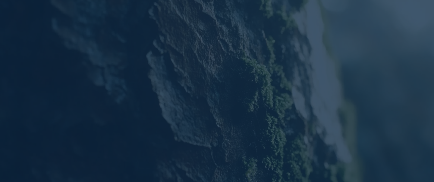 dark bark texture