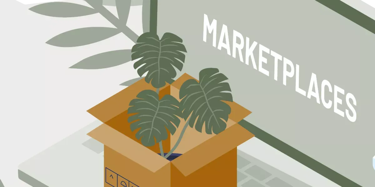 marketplaces box with plant