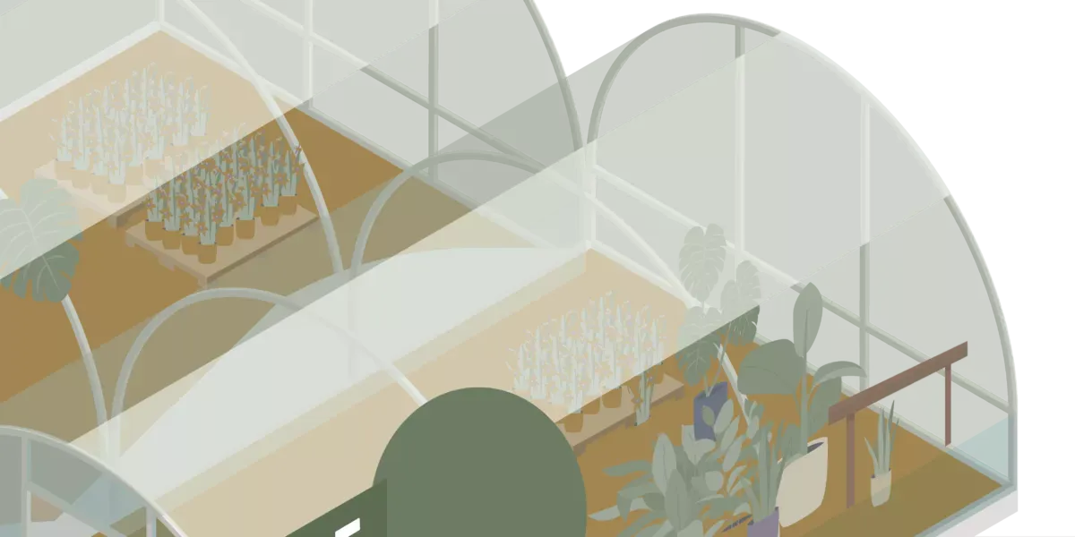 illustration garden