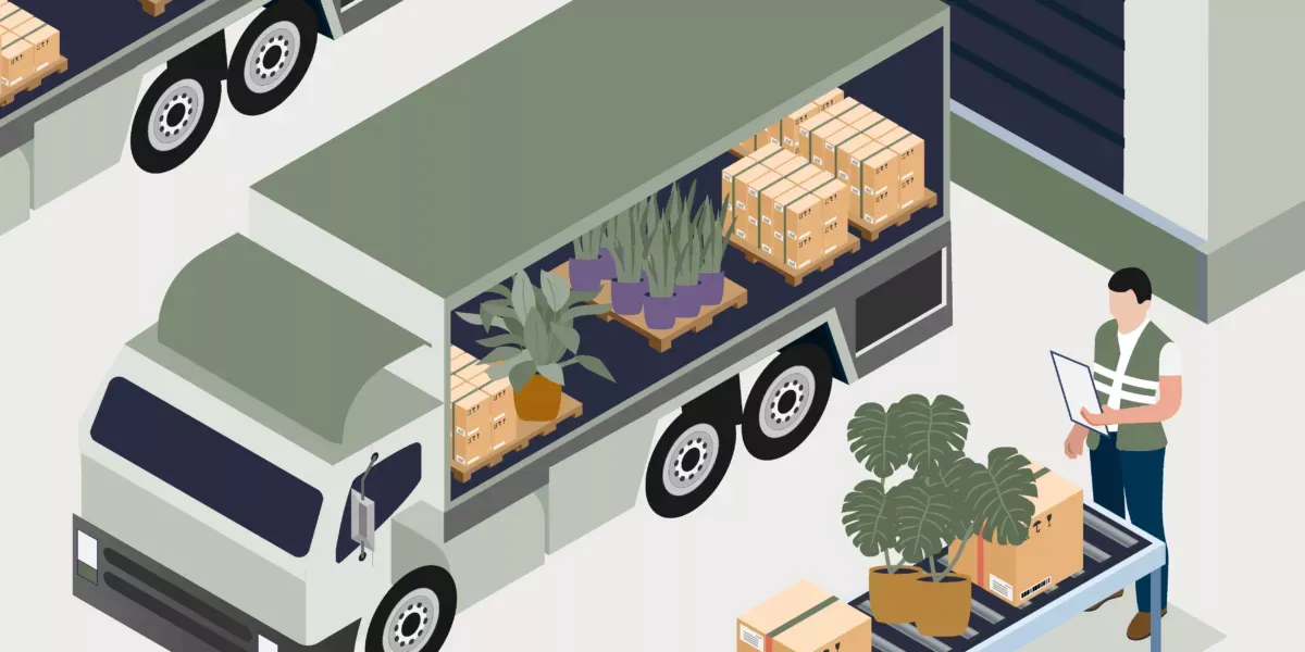 illustration garden