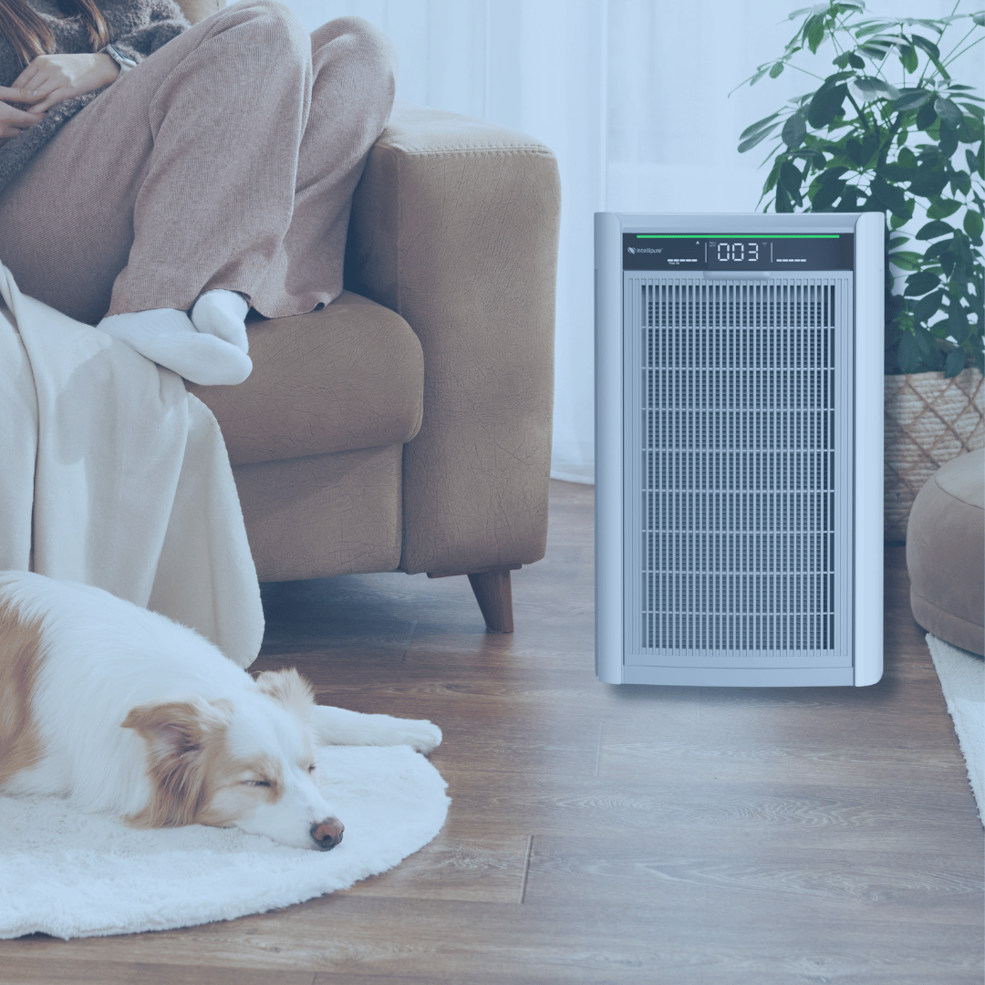 Intellipure Air Purifiers