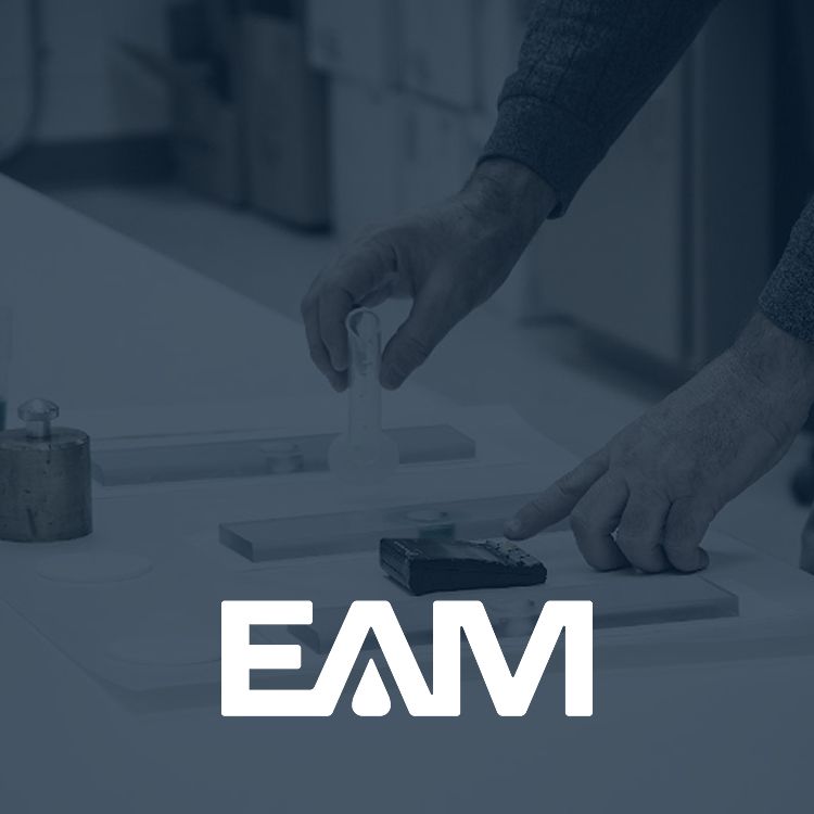 fabiola@getmorphic.com
