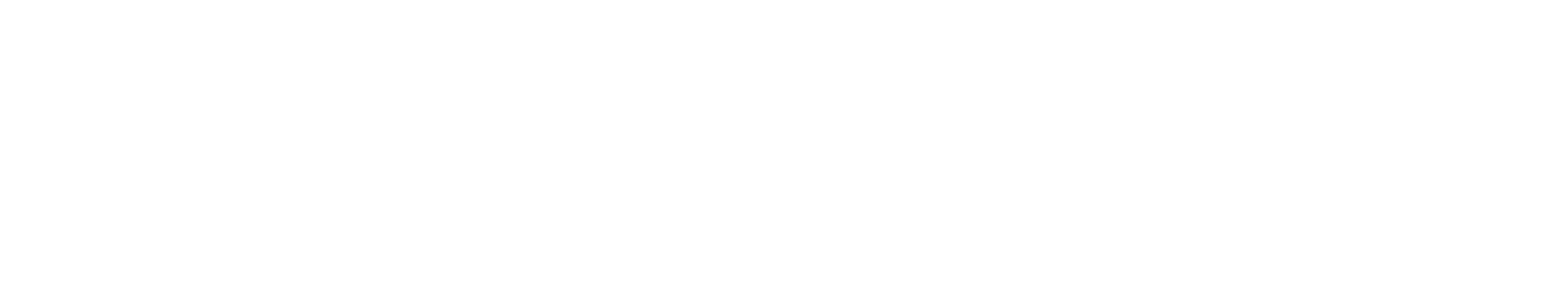 Logo white