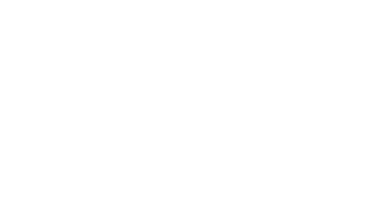 polpis light logo