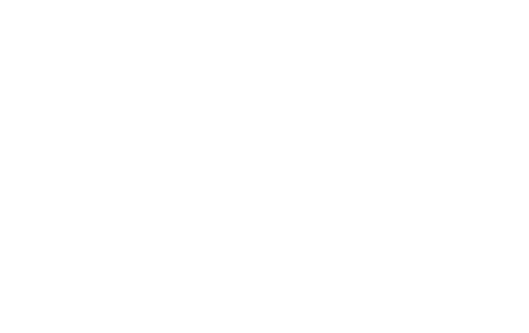 Big10 logo white