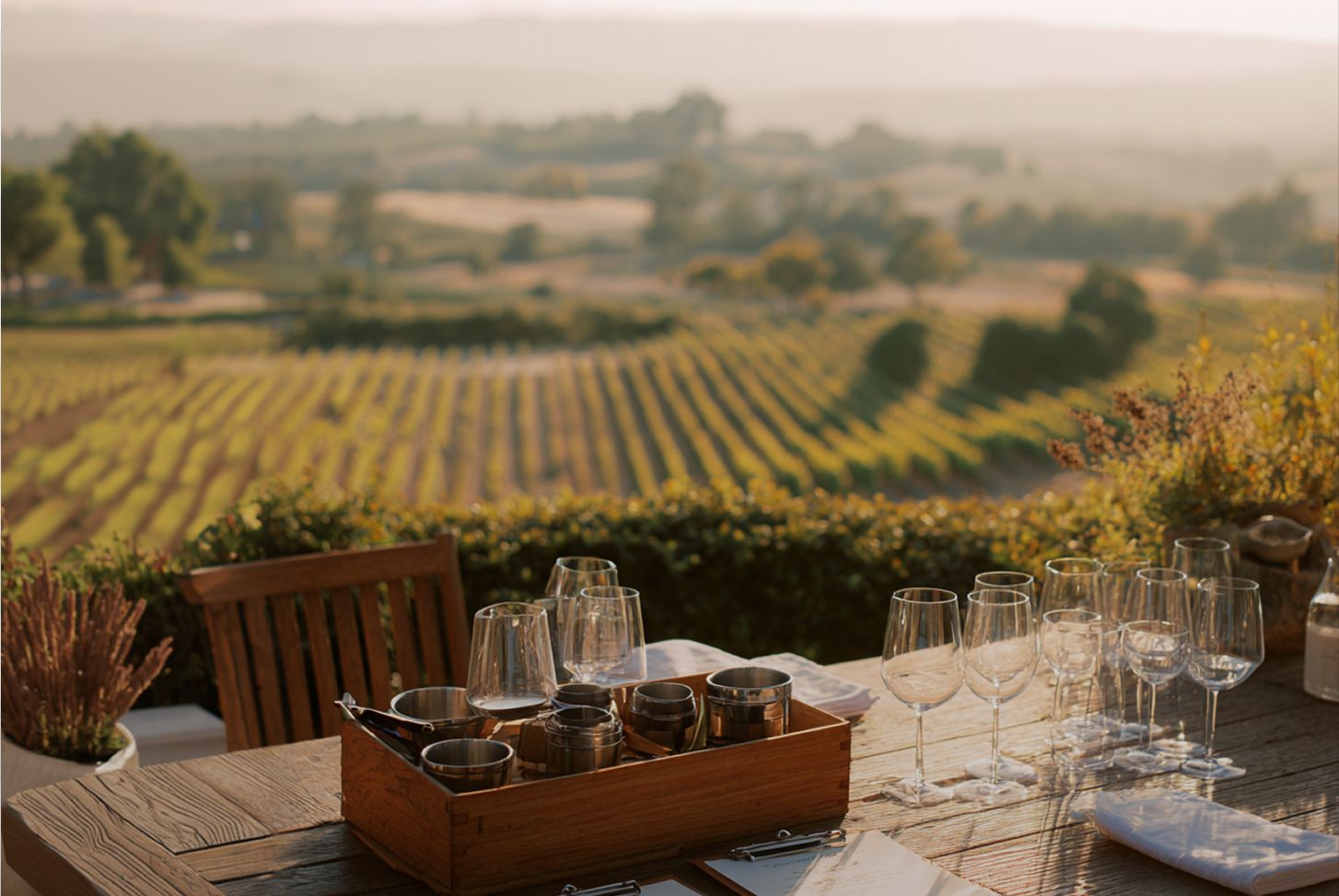 Golden-hour view over Sonoma vineyards with tasting table in foreground