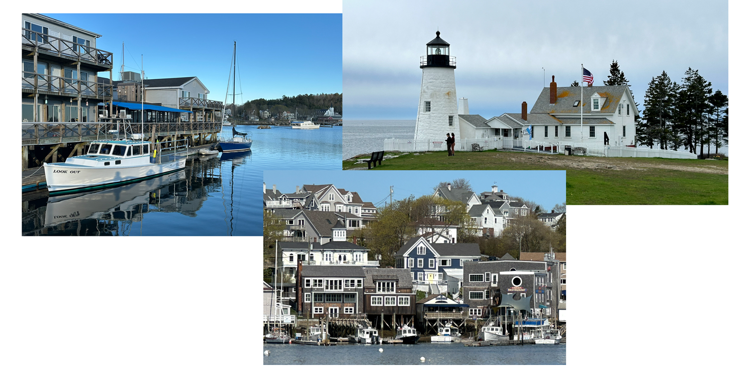 Type a description of this image