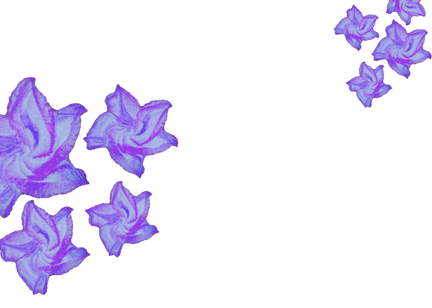 Type a description of this image
