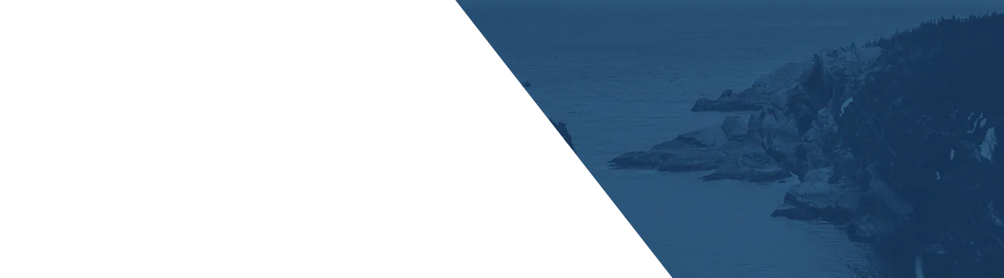 Type a description of this image