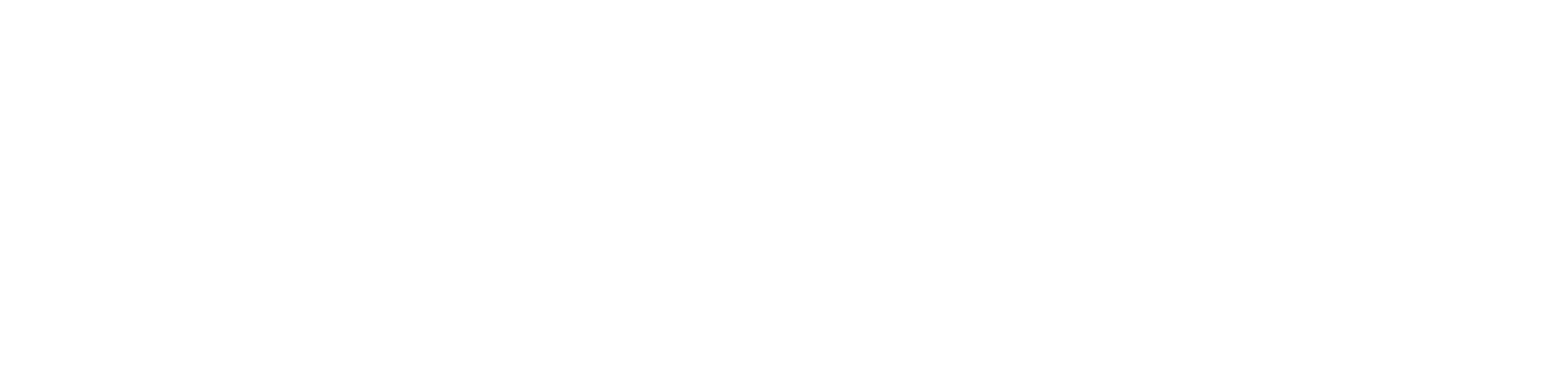 Light Logo
