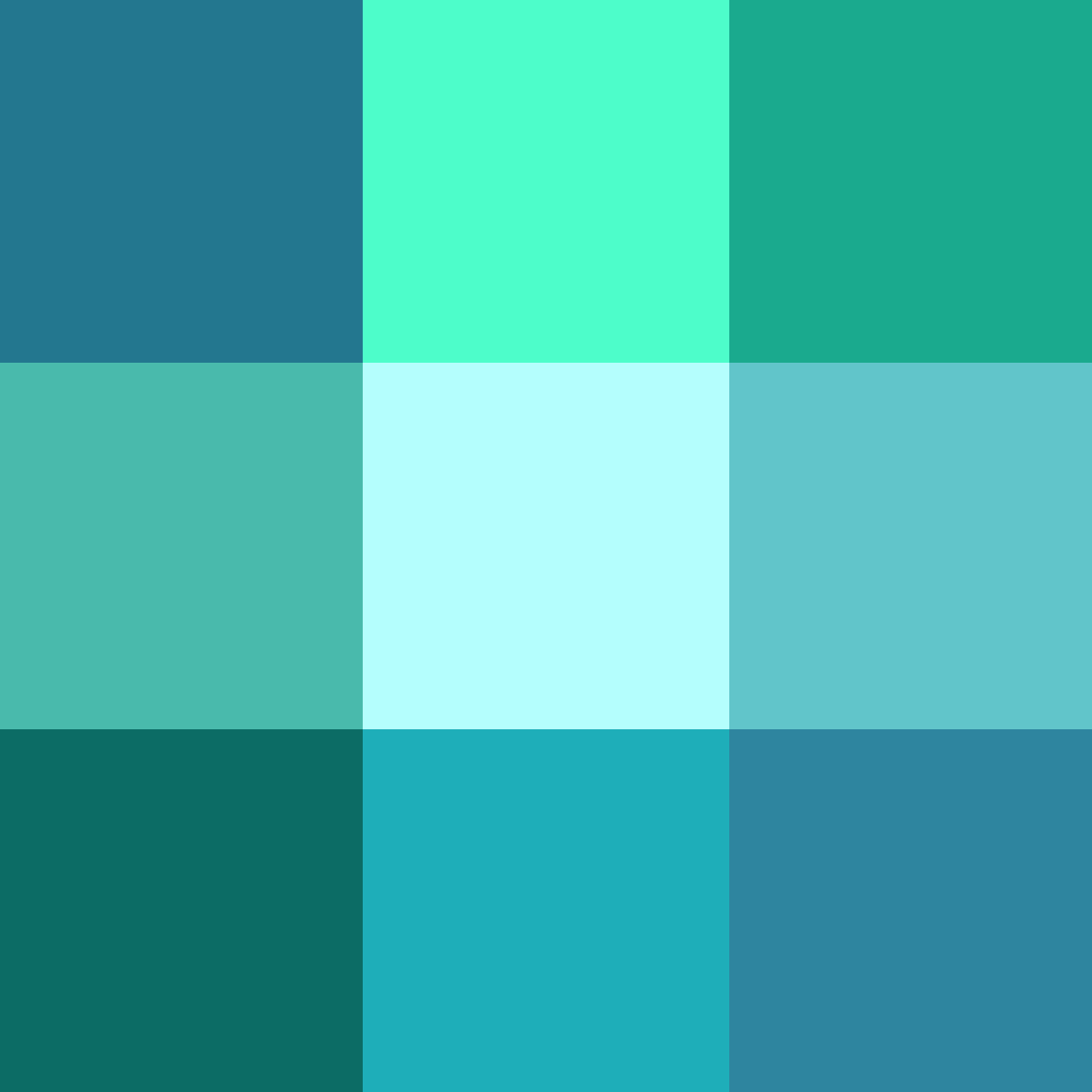 Type a description of this image